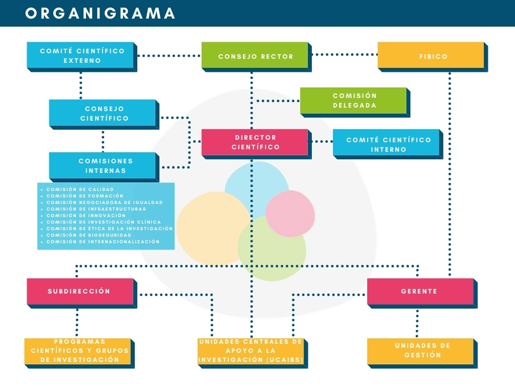 Organigrama